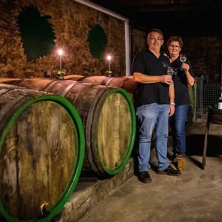 Вилла Ferienweingut Goebel Трабен-Трарбах Экстерьер фото