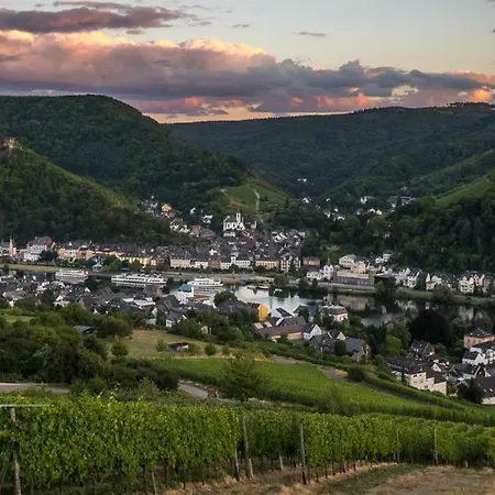 Вилла Ferienweingut Goebel Трабен-Трарбах Экстерьер фото